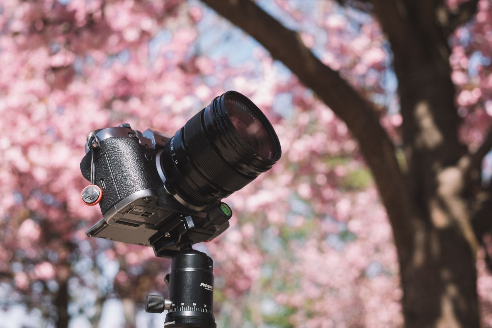 Budget travel tripod mounted