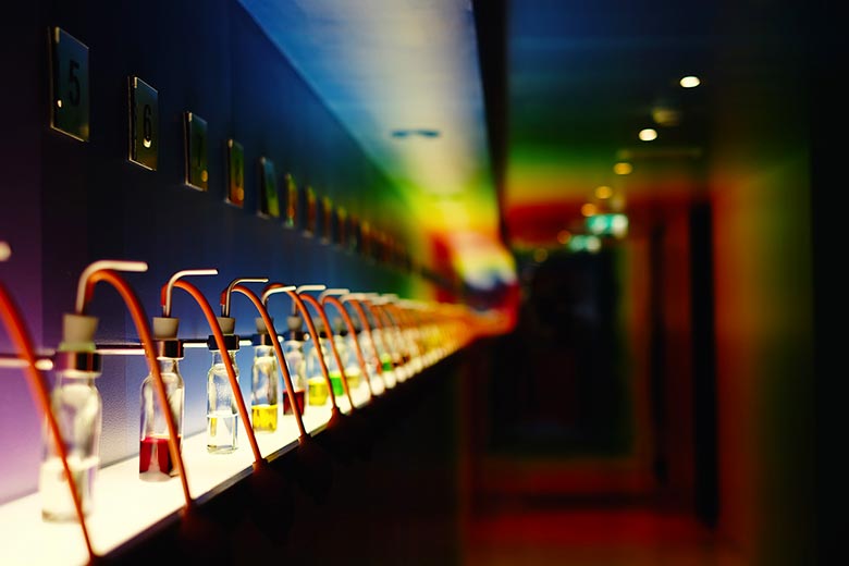 Hall of Taste in the House of Bols in Amsterdam Hall of Taste in the House of Bols in Amsterdam