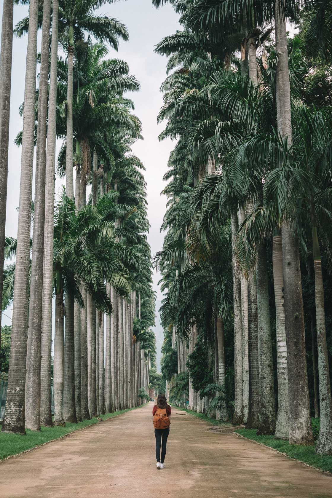 Jardin Botanico Rio de Janeiro