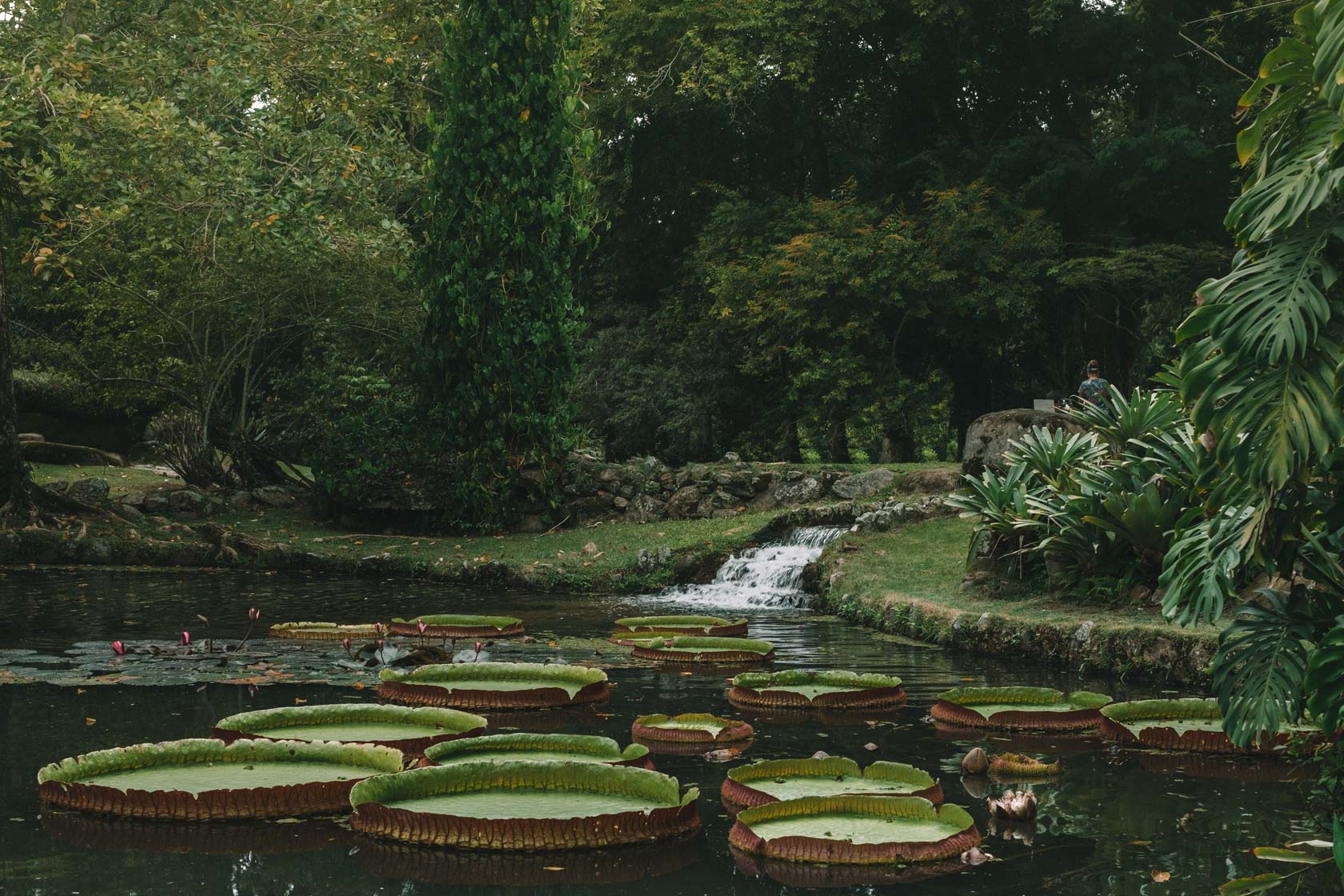 Jardin Botanico Rio de Janeiro