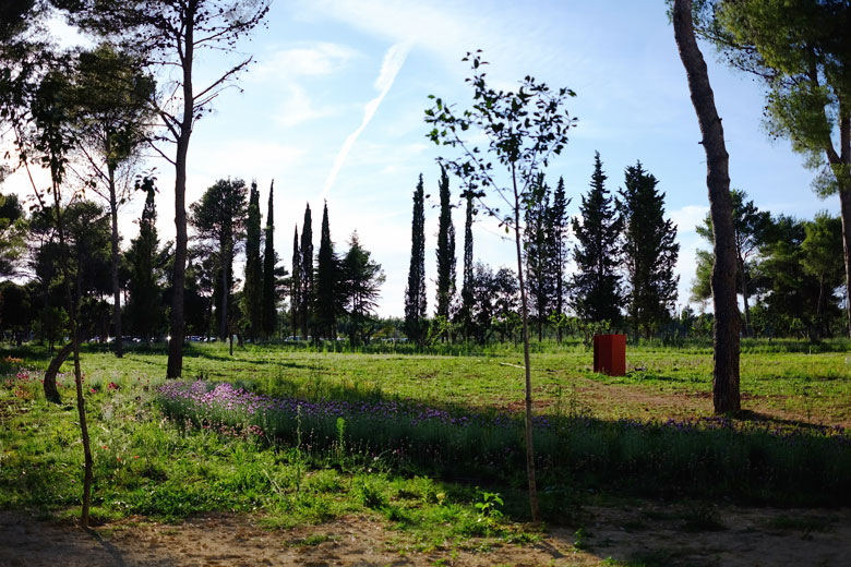 Sand, sun, and the adriatic sea at the Solaris Beach Resort in Šibenik, Croatia. Sand, sun, and the adriatic sea at the Solaris Beach Resort in Šibenik, Croatia.