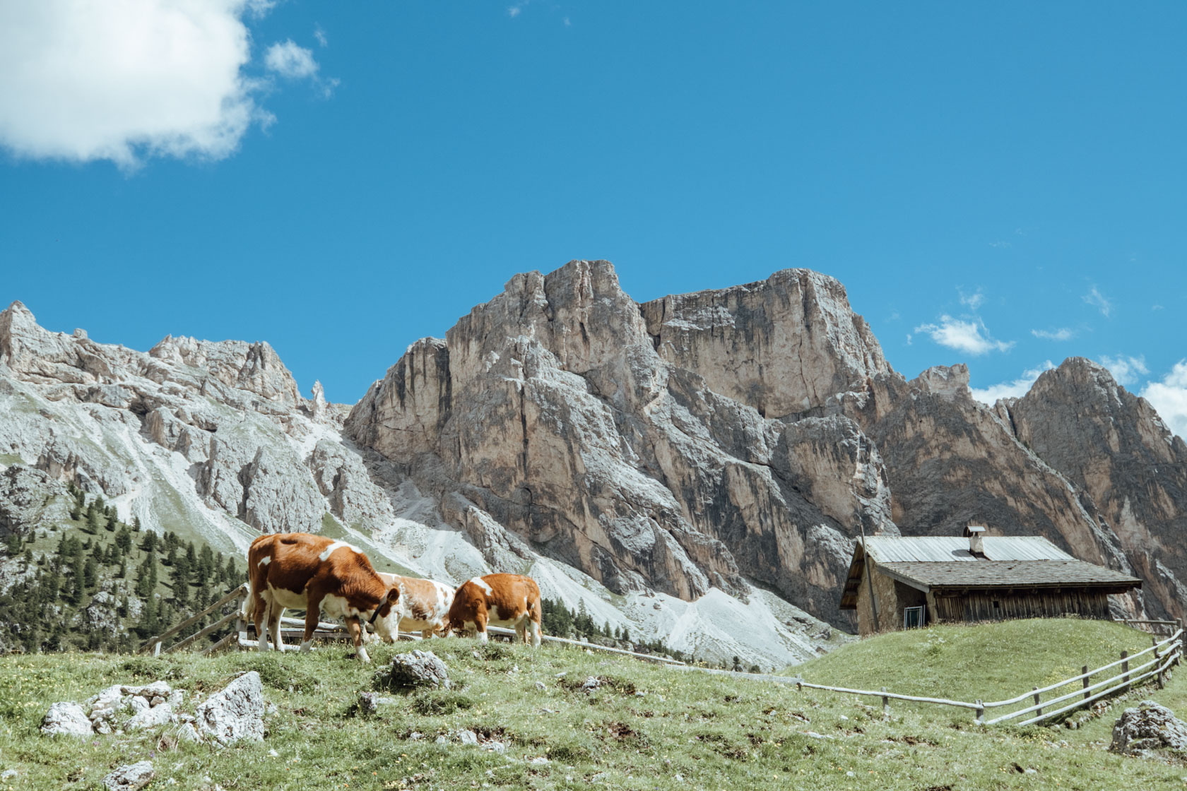 Seceda