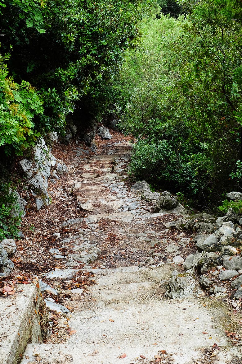 Chemin de Nietzsche Chemin de Nietzsche