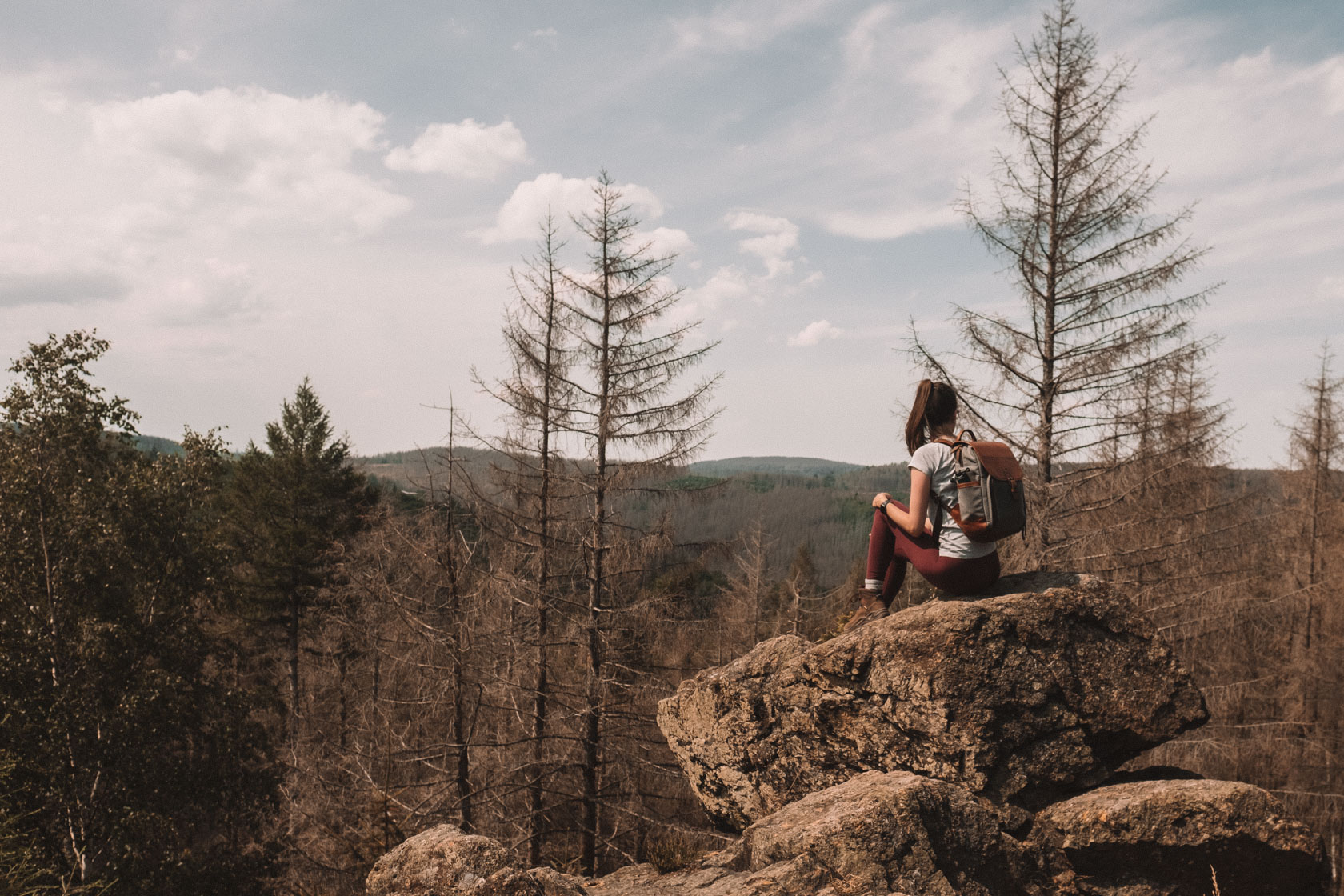 Harz Mountains