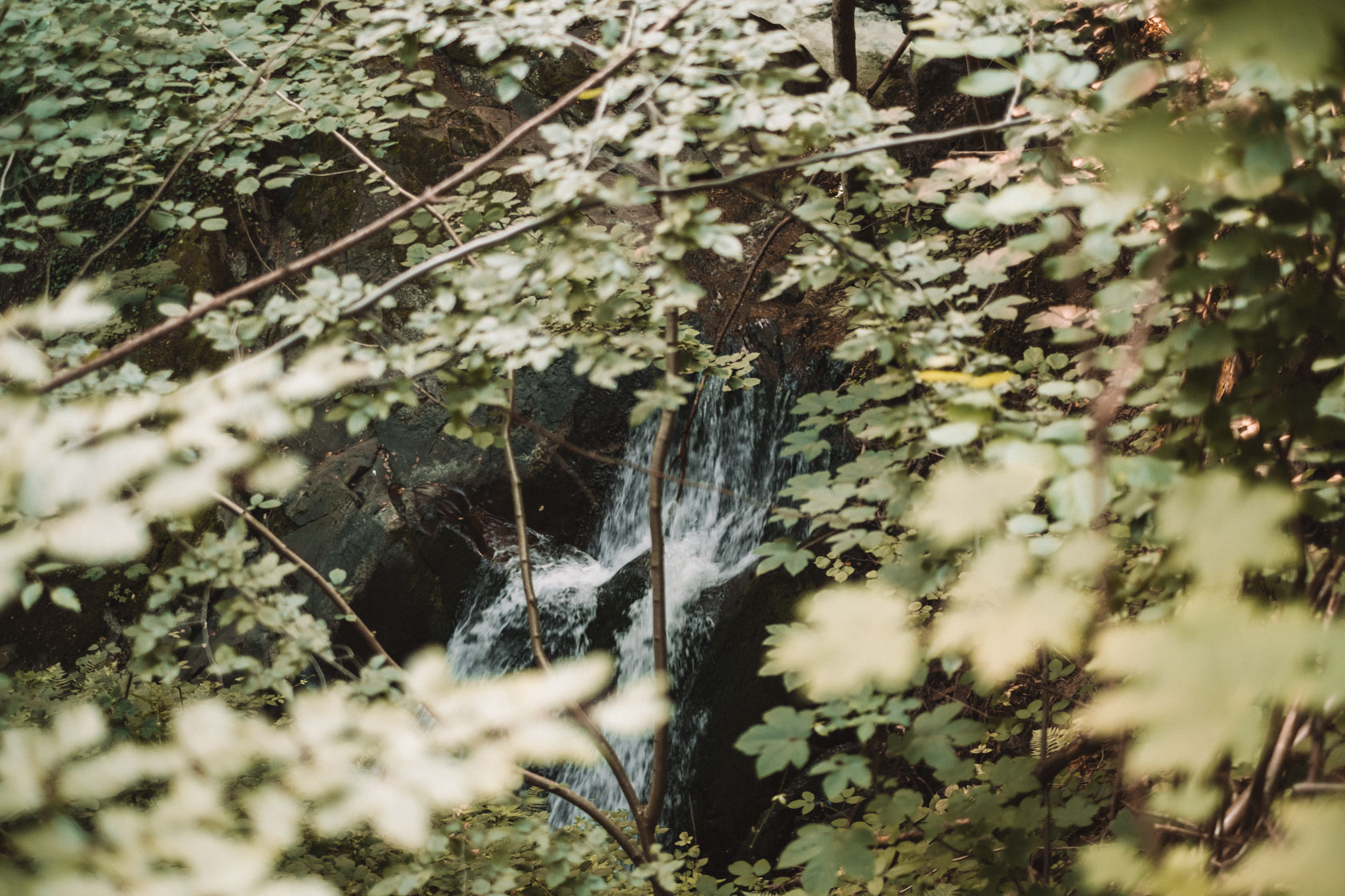 Harz Mountains