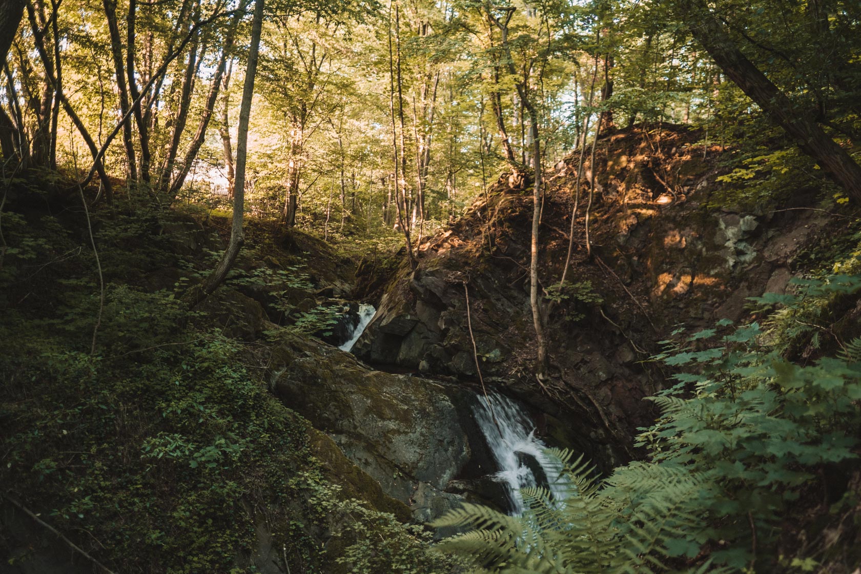 Harz Mountains