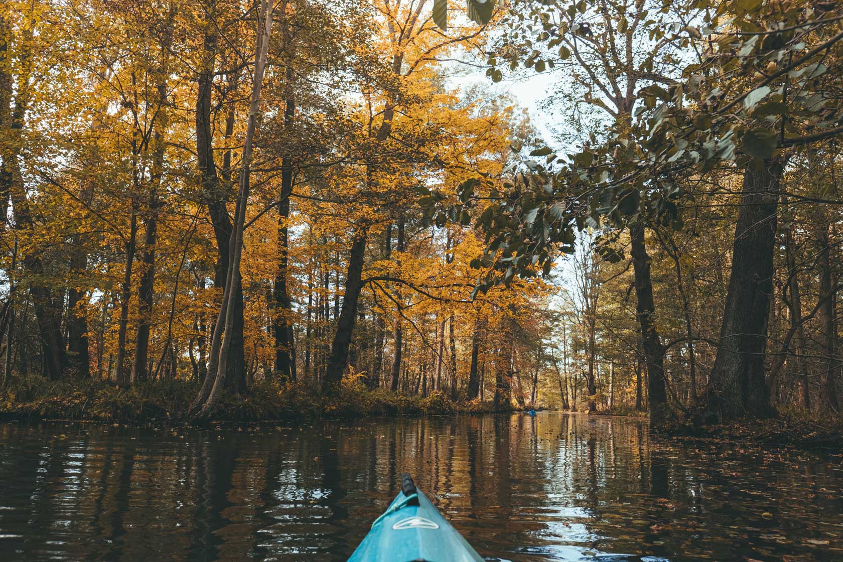 Kayak in Spreewald, Germany