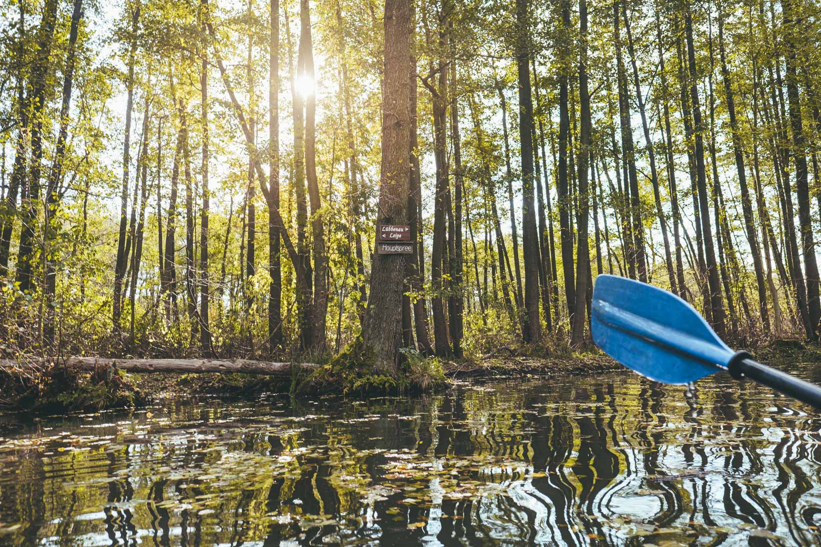 Spreewald Kayaking