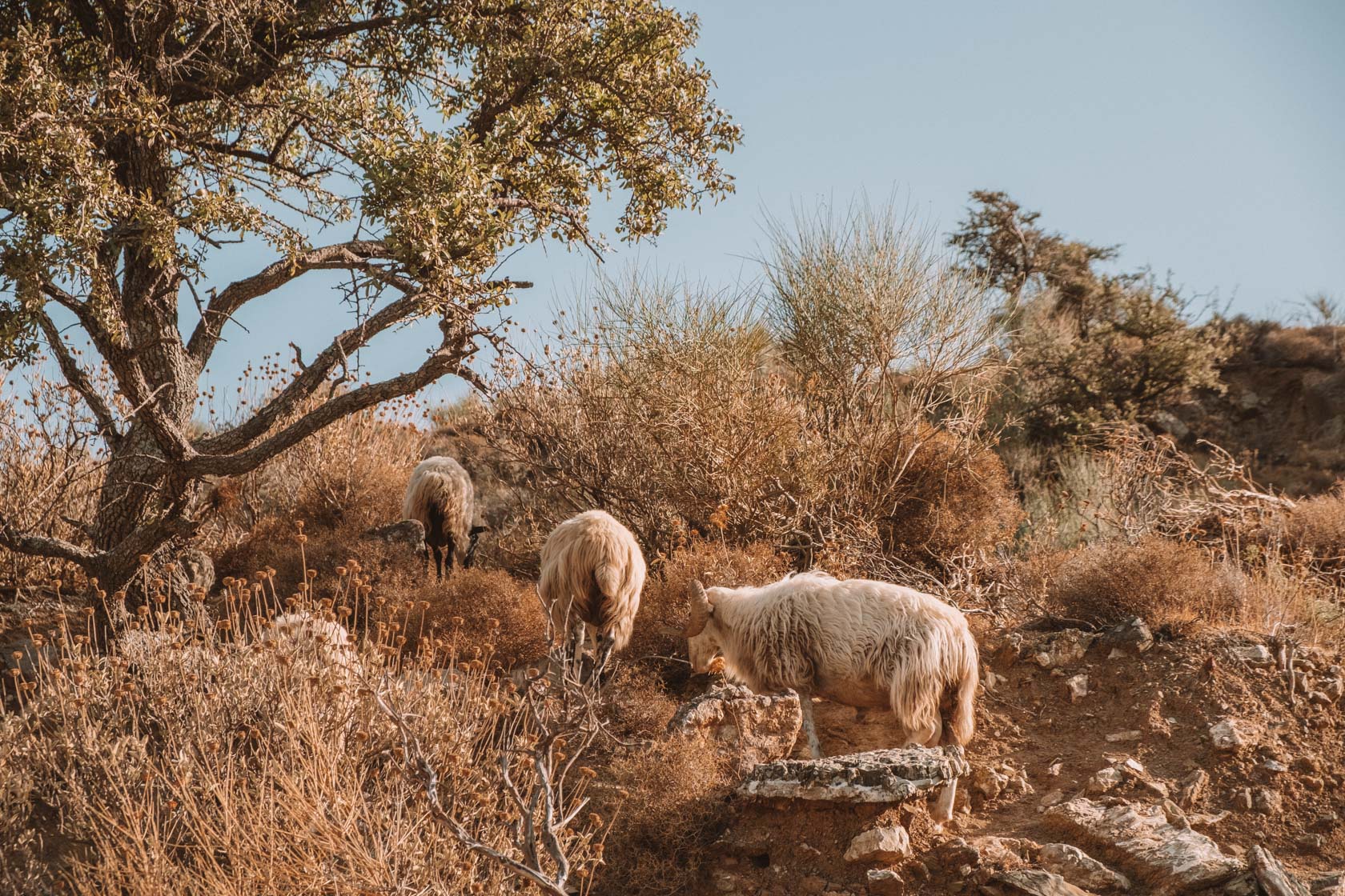 Amari Valley, Crete