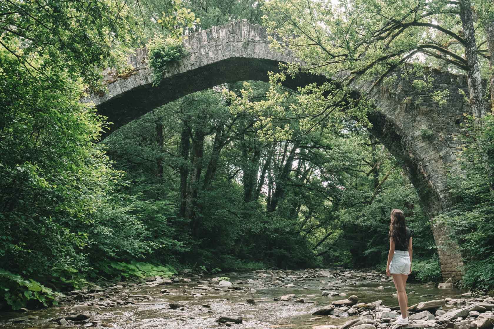 Zagori Bridges