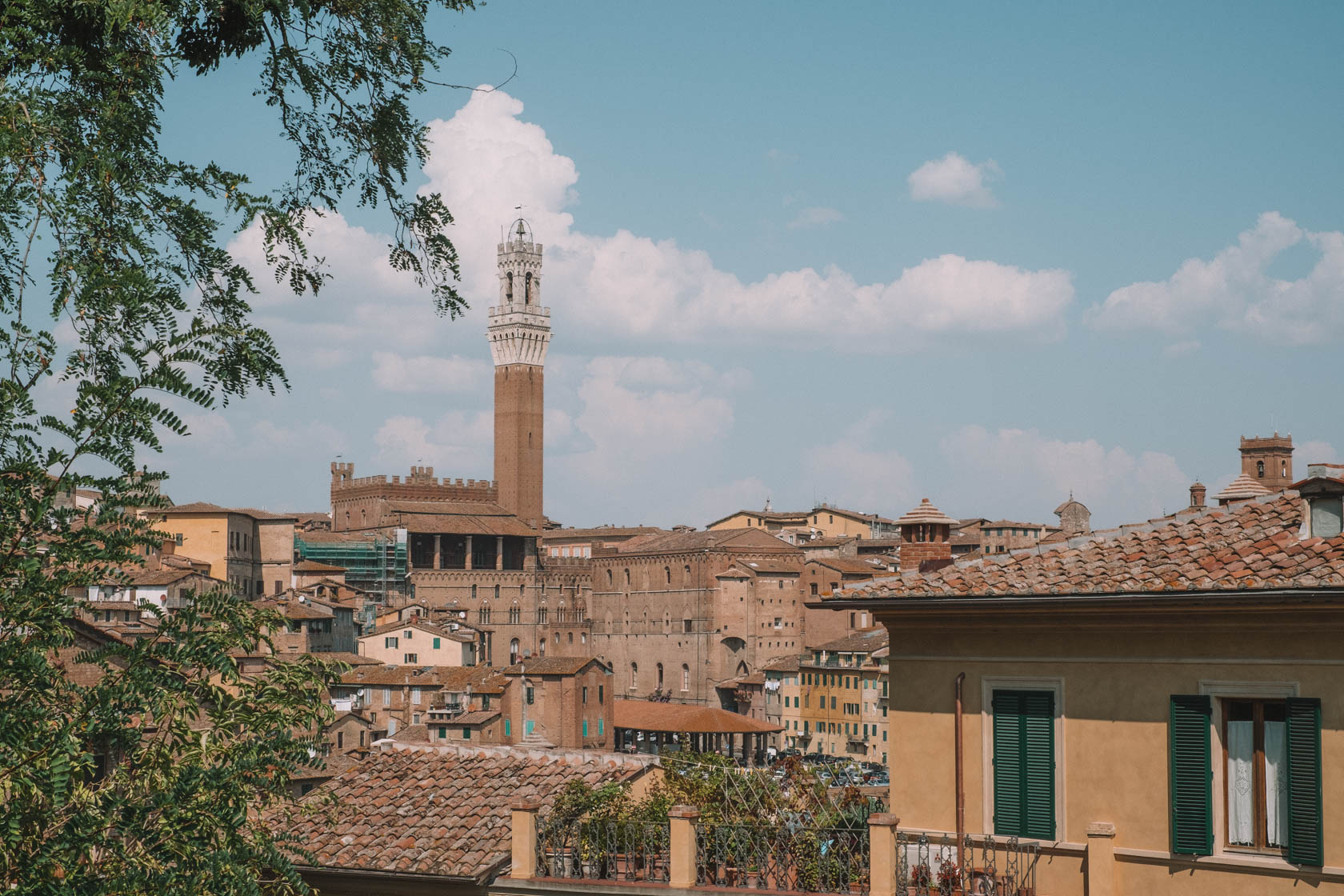Siena's tower in Italy