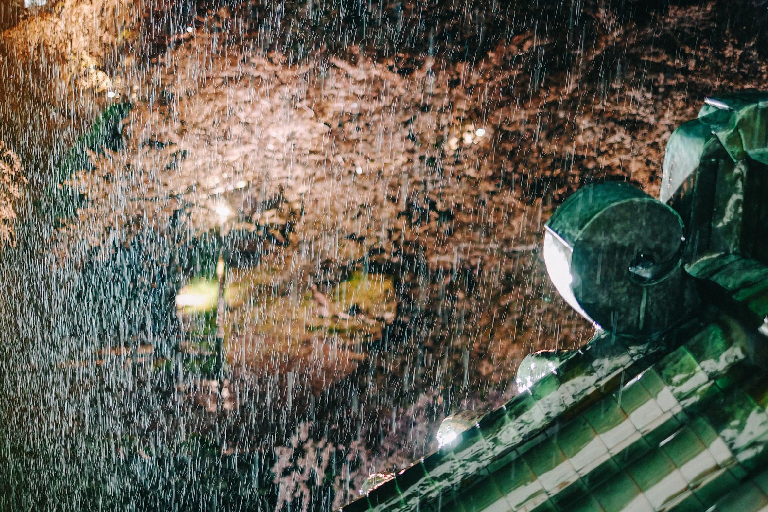 Rain pouring down on the roof o Hirosaki Castle during Cherry Blossom Season.