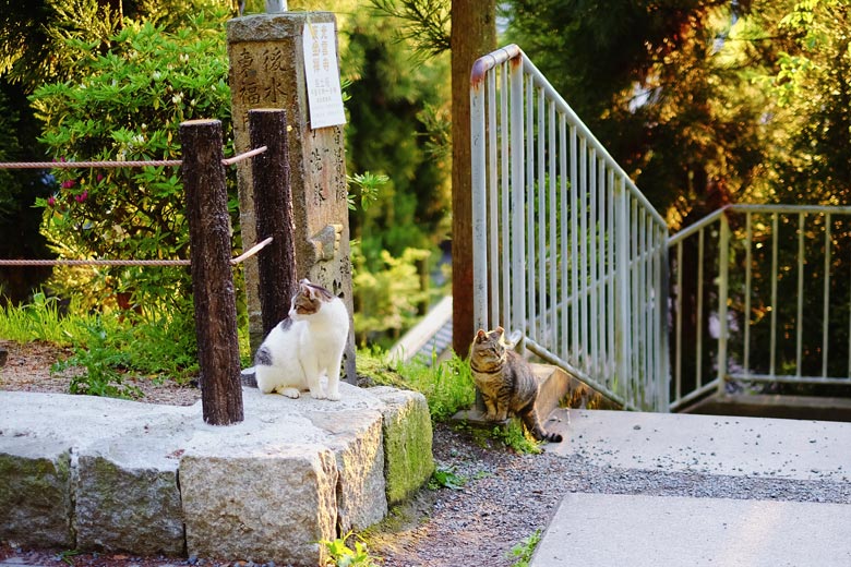 When I told people I was moving abroad, the most common comment I heard was, 'I wish I could do that!' The truth is that practically anyone can - but probably won't. When I told people I was moving abroad, the most common comment I heard was, 'I wish I could do that!' The truth is that practically anyone can - but probably won't.