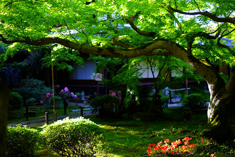 Shoren-in, Kyoto, Japan Shoren-in, Kyoto, Japan