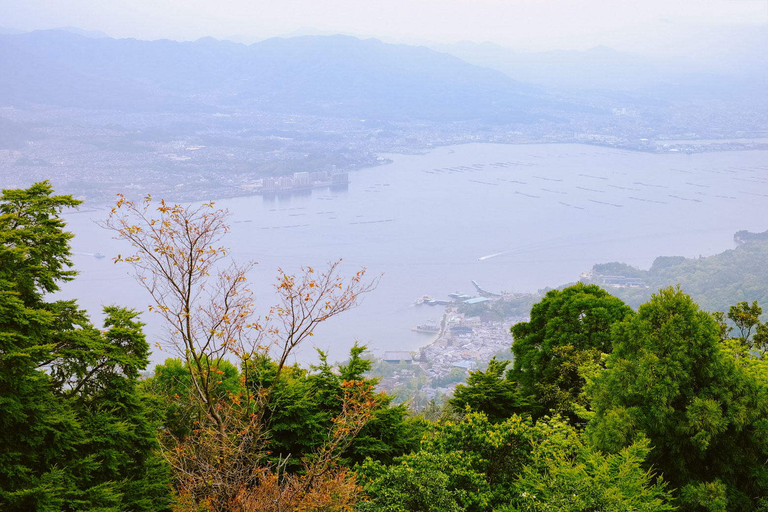 Mt Misen, Miyajima: Welcome to Japan's holiest island