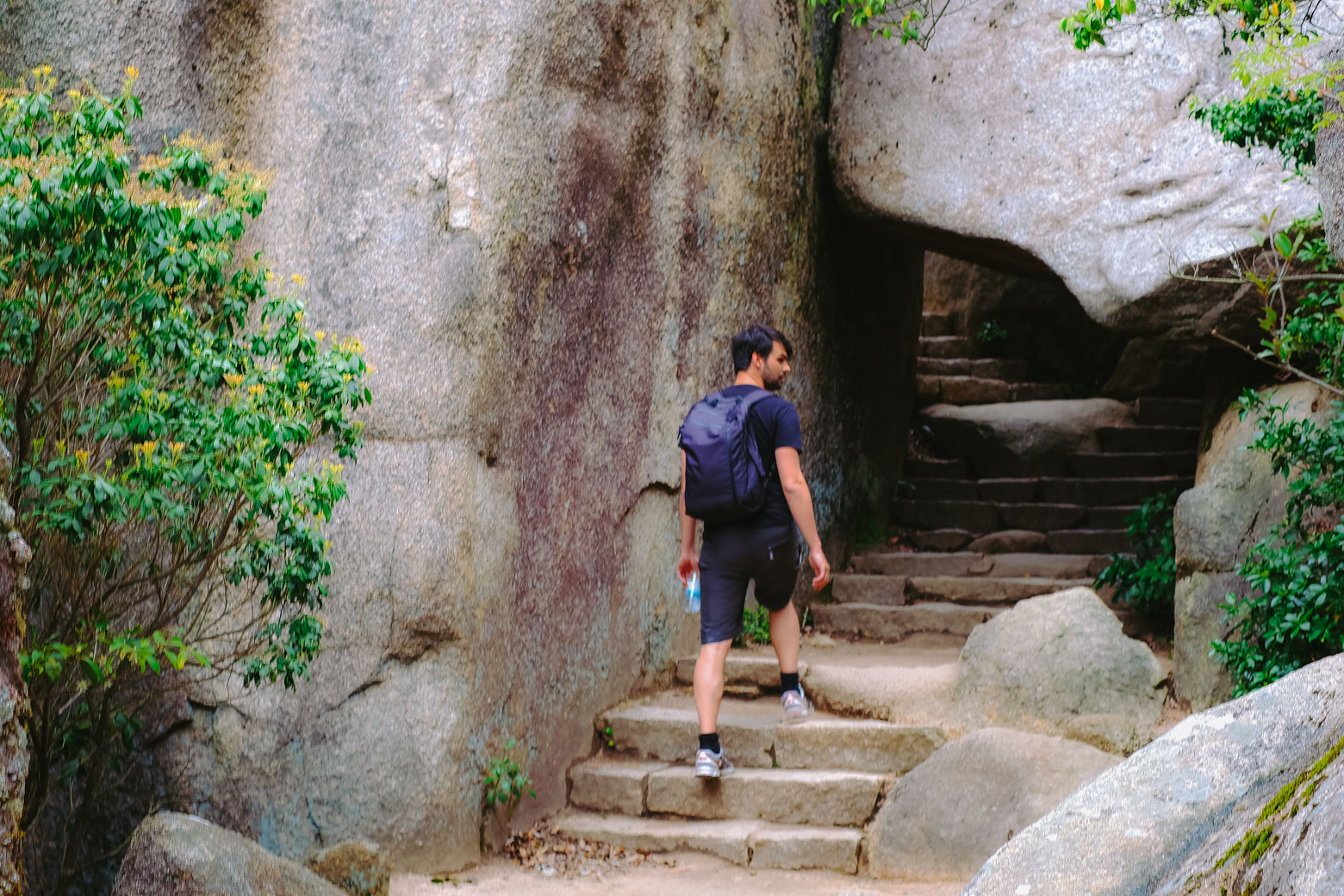There's more to Miyajima, Japan than the Itsukushima shrine. Stairs leading to the summit of Mt. Misen