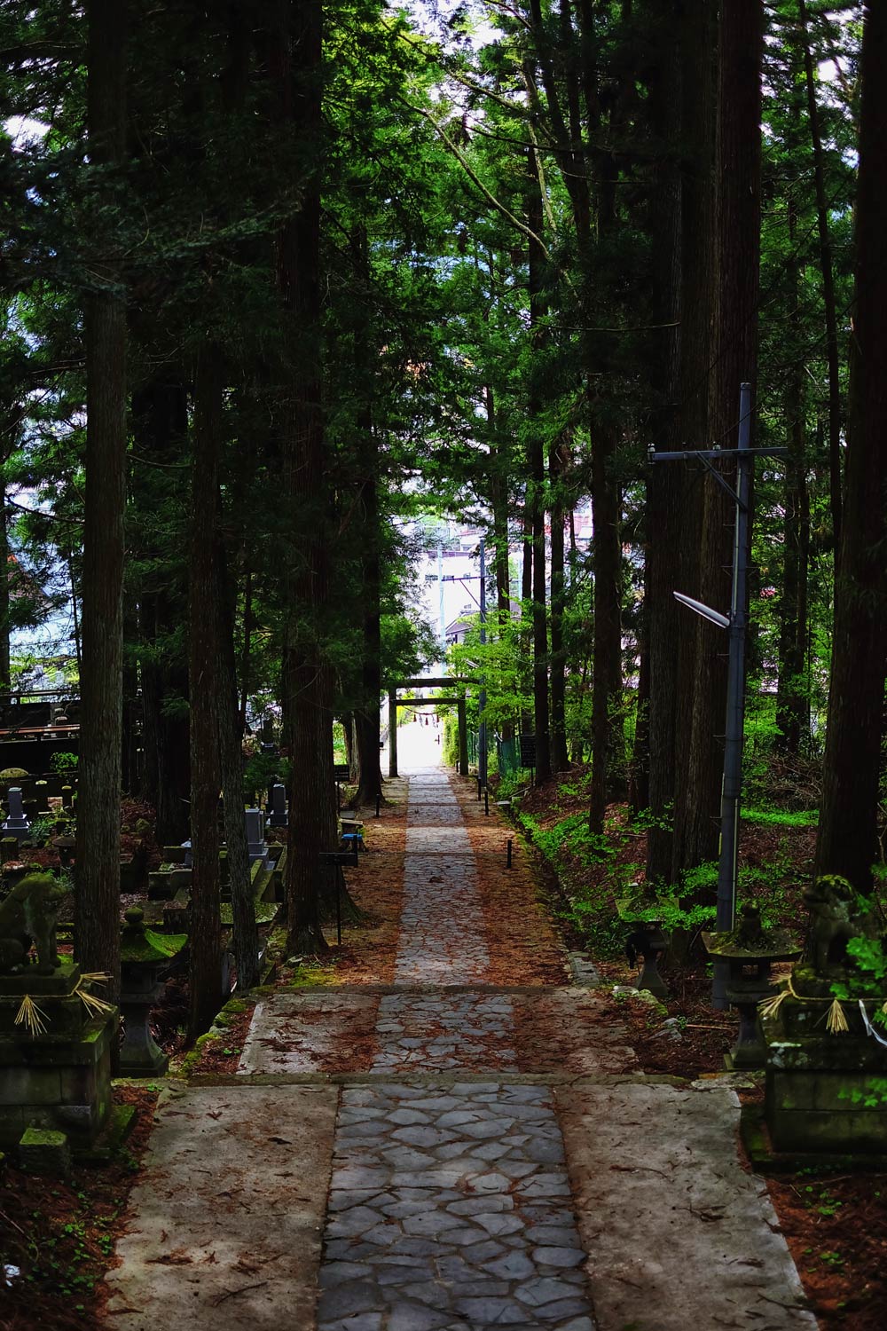 The merchant streets of Takayama, Japan may be the most famous photo you see of the town, but it's not its only attraction. This mountain town is famous for its sake breweries and its very own Little Kyoto, a tranquil temple district where the only other person there is the gardener. The merchant streets of Takayama, Japan may be the most famous photo you see of the town, but it's not its only attraction. This mountain town is famous for its sake breweries and its very own Little Kyoto, a tranquil temple district where the only other person there is the gardener.