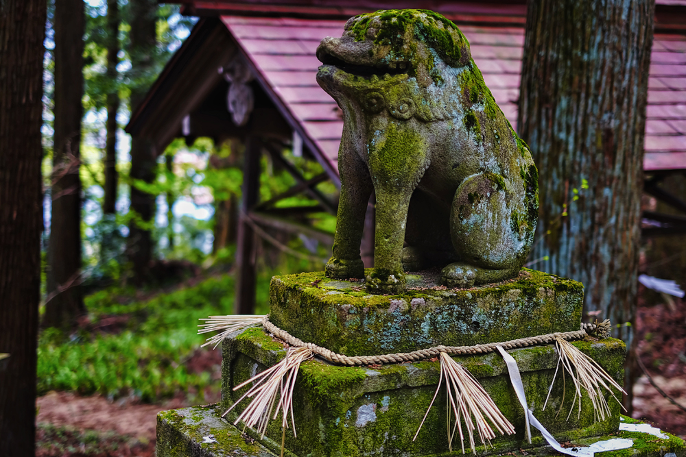 The merchant streets of Takayama, Japan may be the most famous photo you see of the town, but it's not its only attraction. This mountain town is famous for its sake breweries and its very own Little Kyoto, a tranquil temple district where the only other person there is the gardener. The merchant streets of Takayama, Japan may be the most famous photo you see of the town, but it's not its only attraction. This mountain town is famous for its sake breweries and its very own Little Kyoto, a tranquil temple district where the only other person there is the gardener.