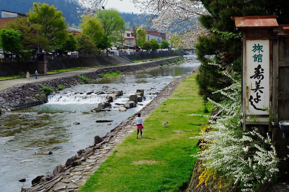 Can you imagine this life? Just going for a walk with your dog along the river in a quiet mountain town in Japan. Well, that's how it is in Takayama, where the main streets date back to the Edo Period, just before the country opened up to the West. Can you imagine this life? Just going for a walk with your dog along the river in a quiet mountain town in Japan. Well, that's how it is in Takayama, where the main streets date back to the Edo Period, just before the country opened up to the West.
