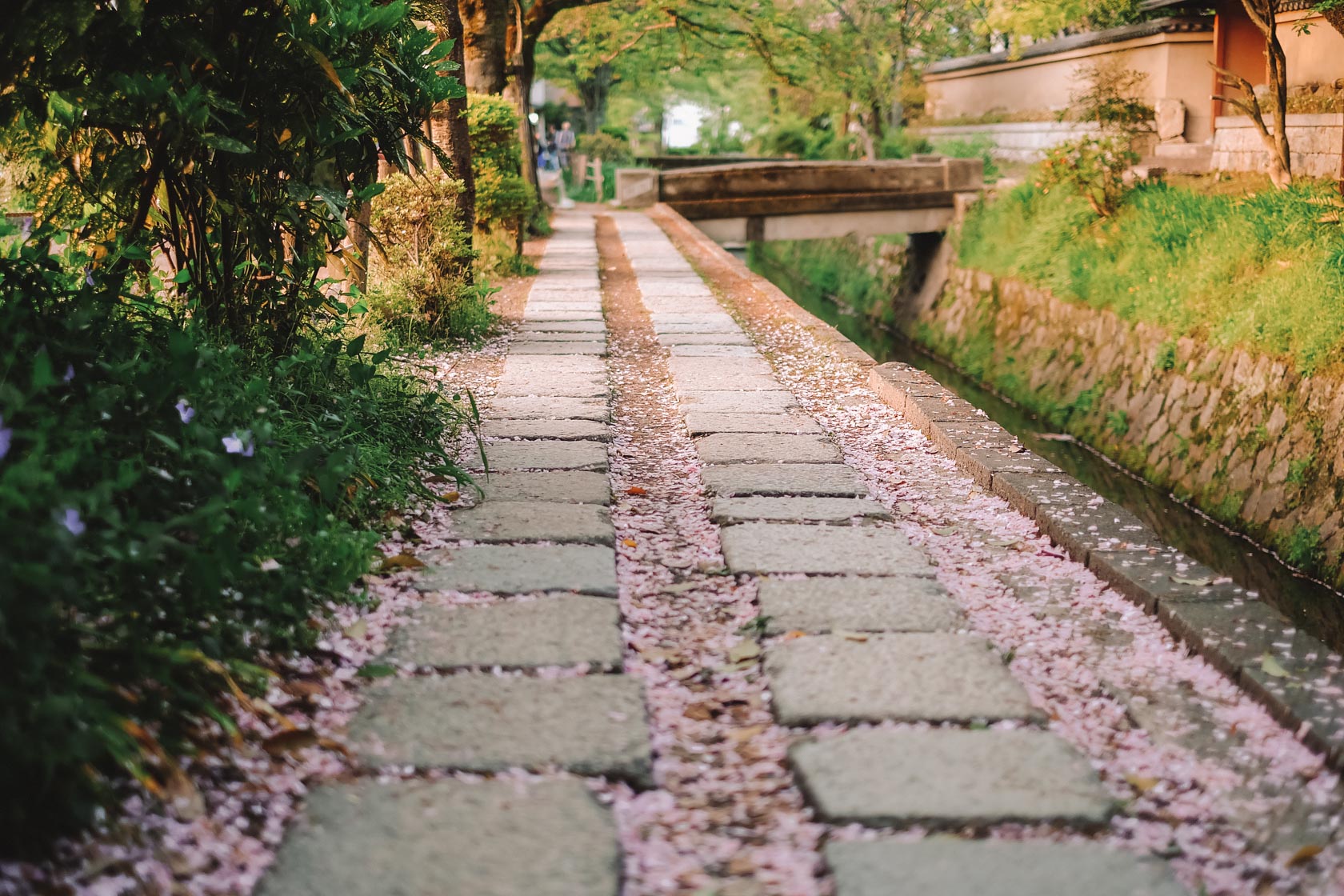 Philosopher's Path, Kyoto