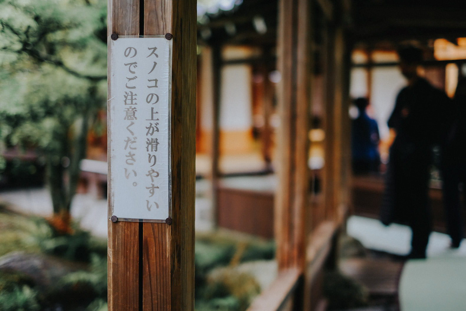Tenryu-ji in Kyoto
