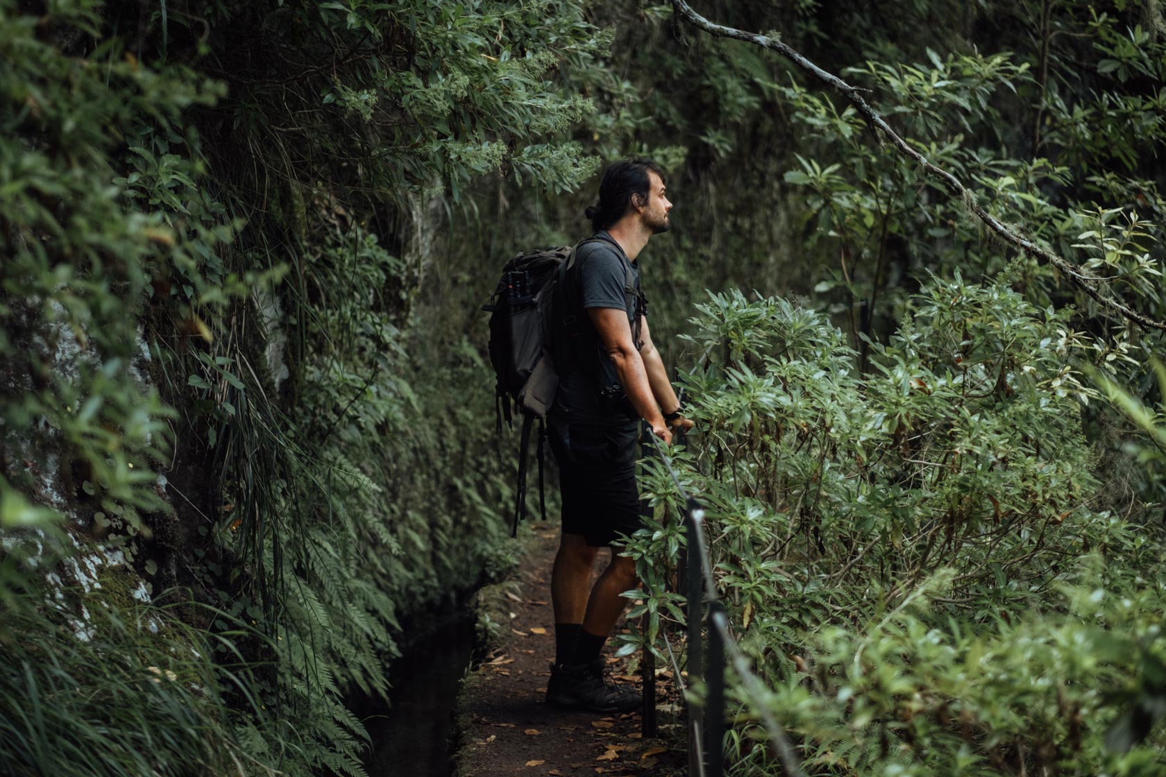 Levada do Caldeirão Verde