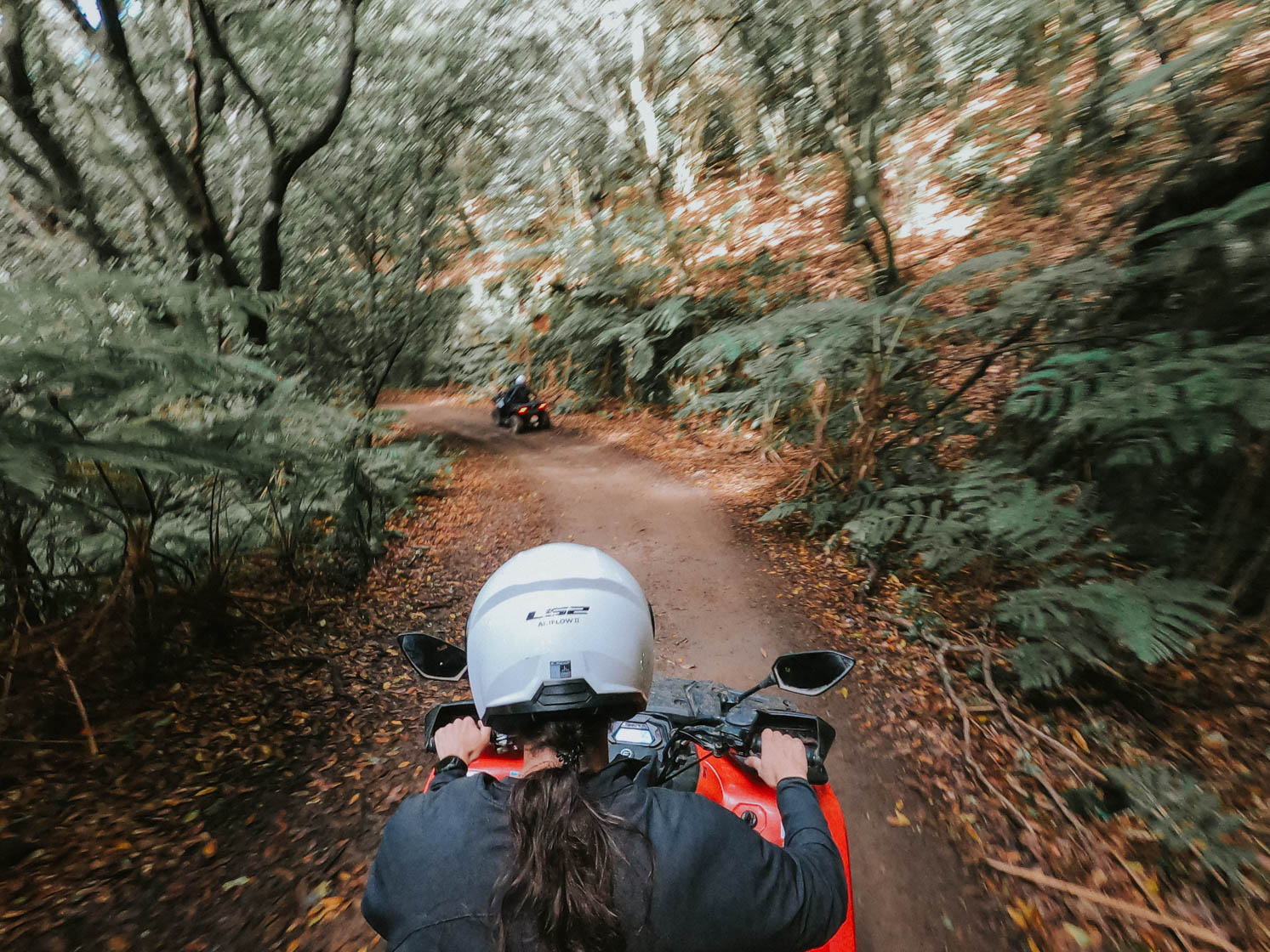 Madeira 4x4 Tour