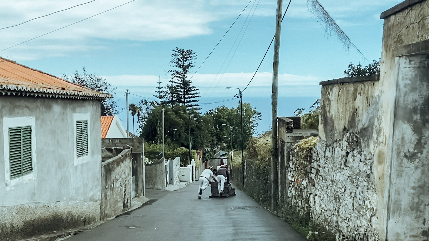 Madeira Toboggan ride