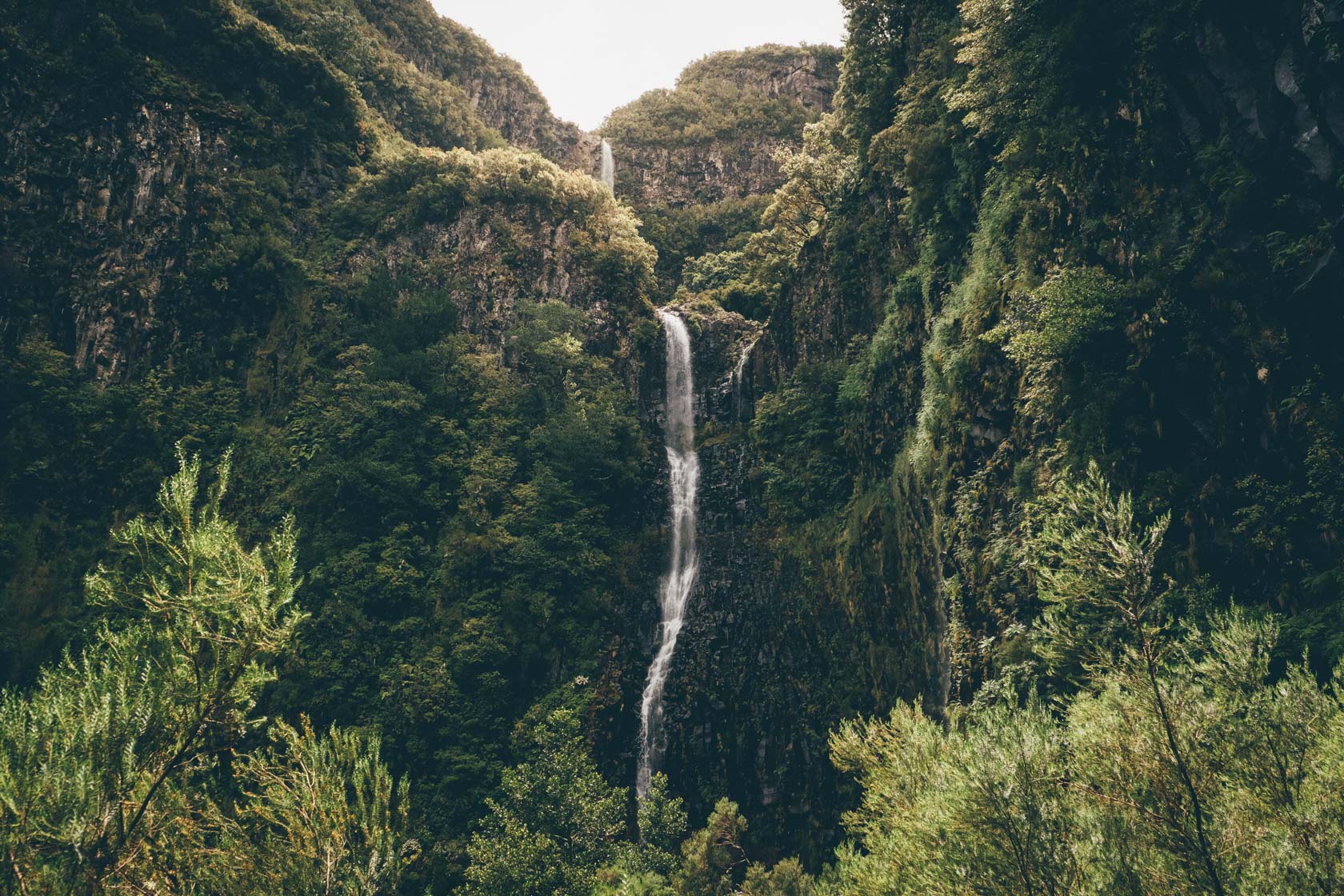 Risco Waterfall in Madeira