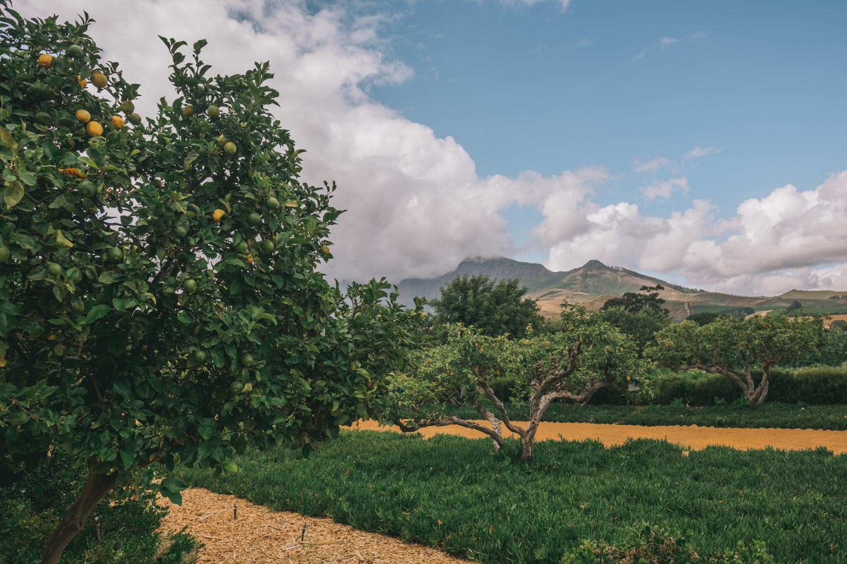 Babylonstoren