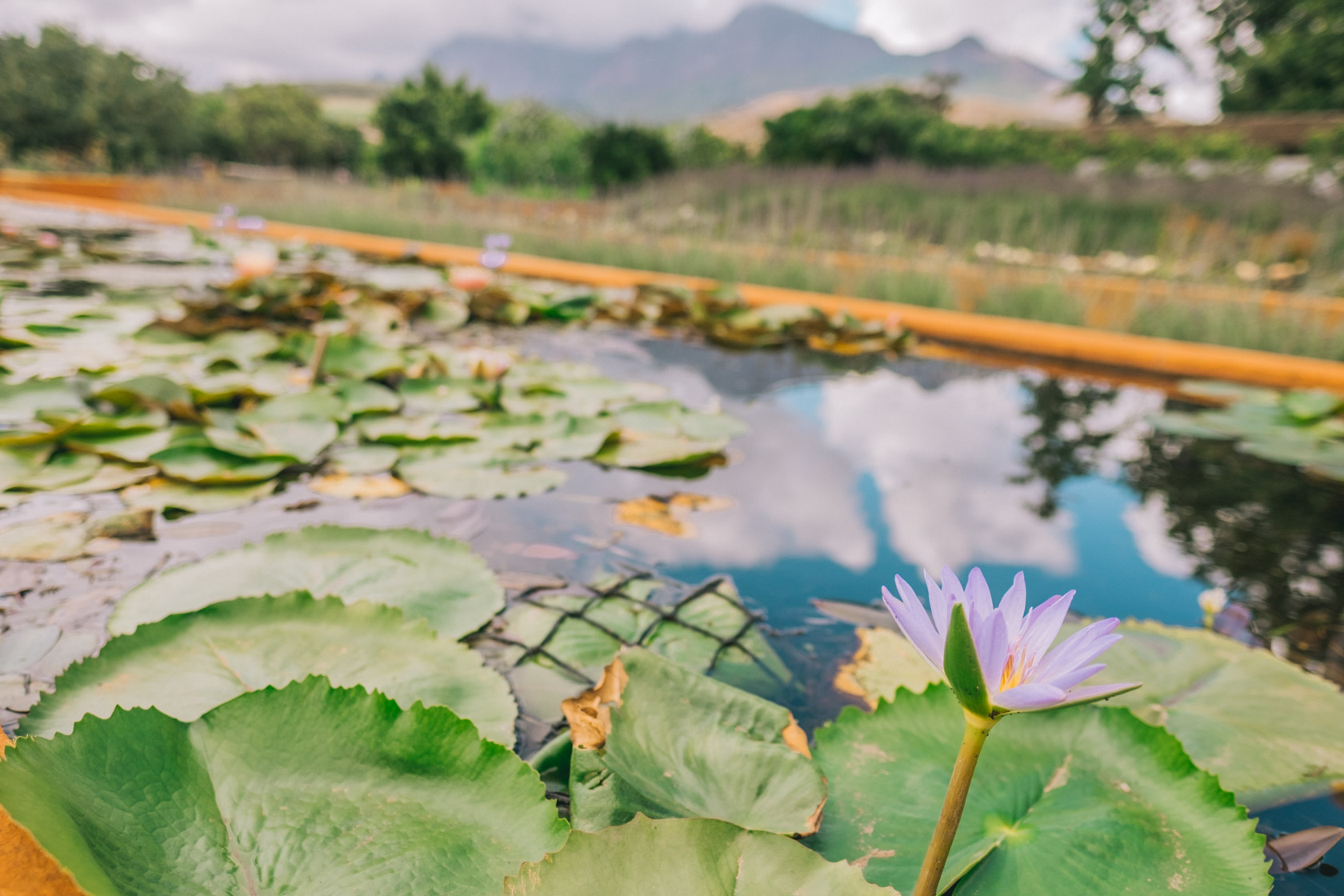 Babylonstoren