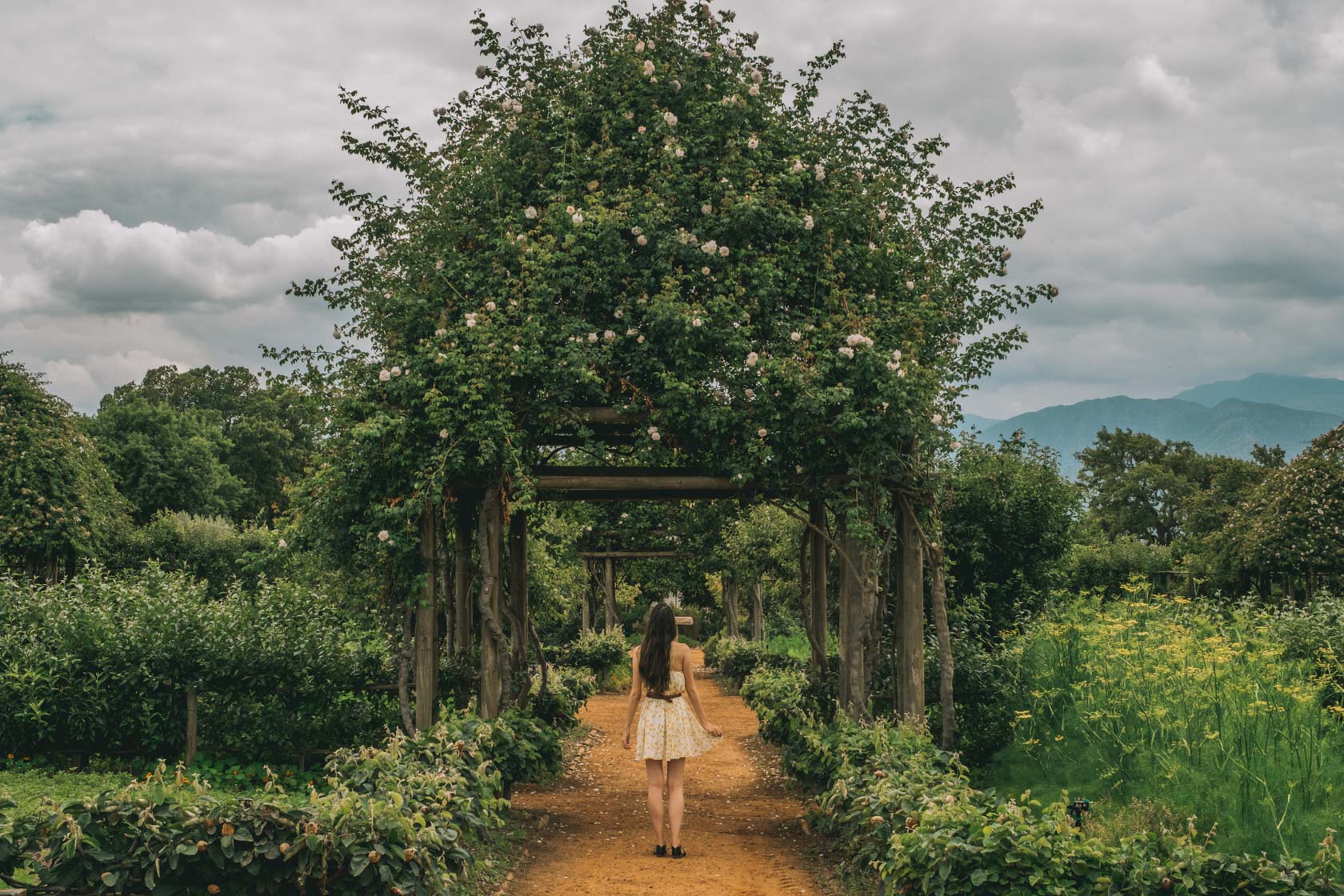 Babylonstoren