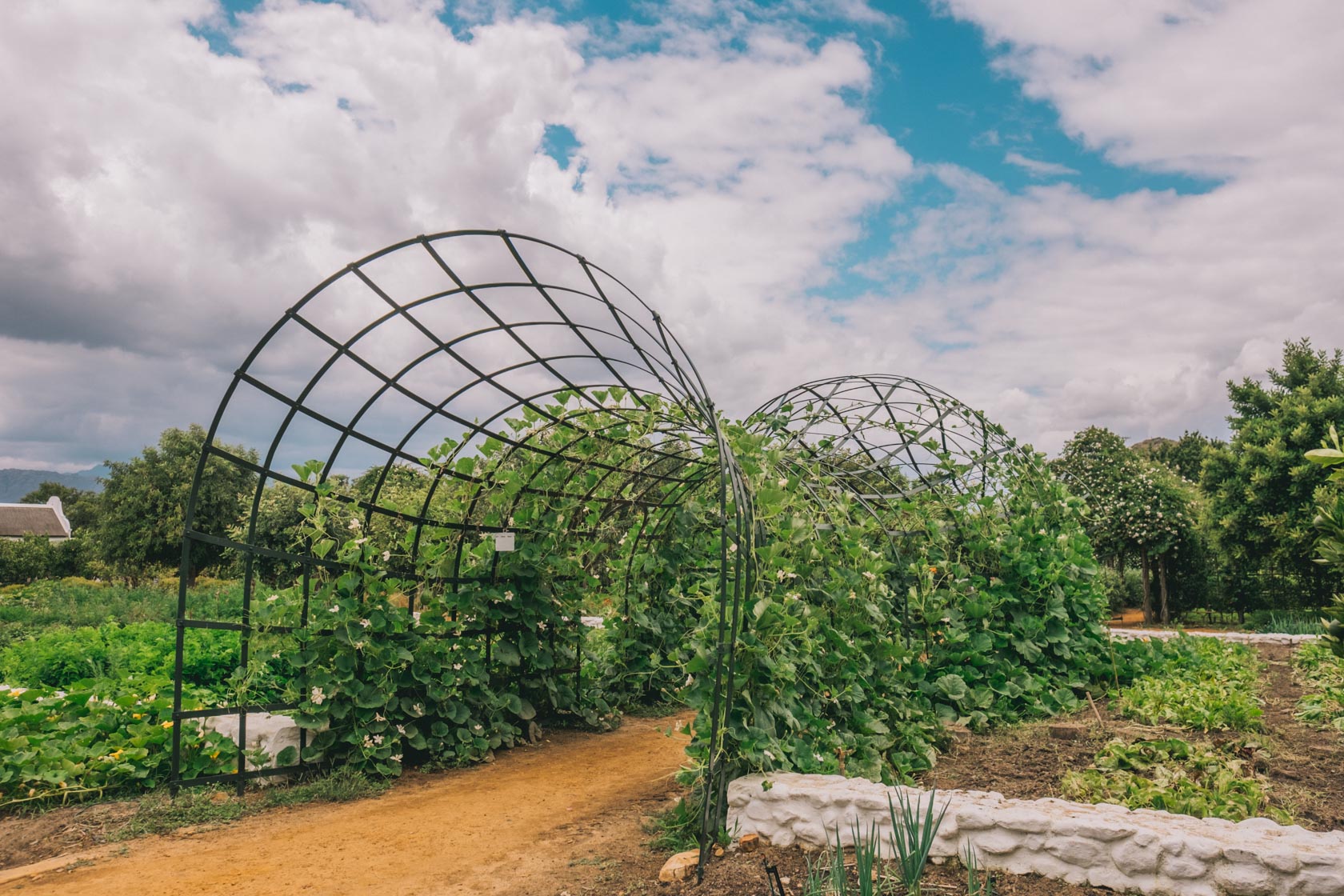 Babylonstoren