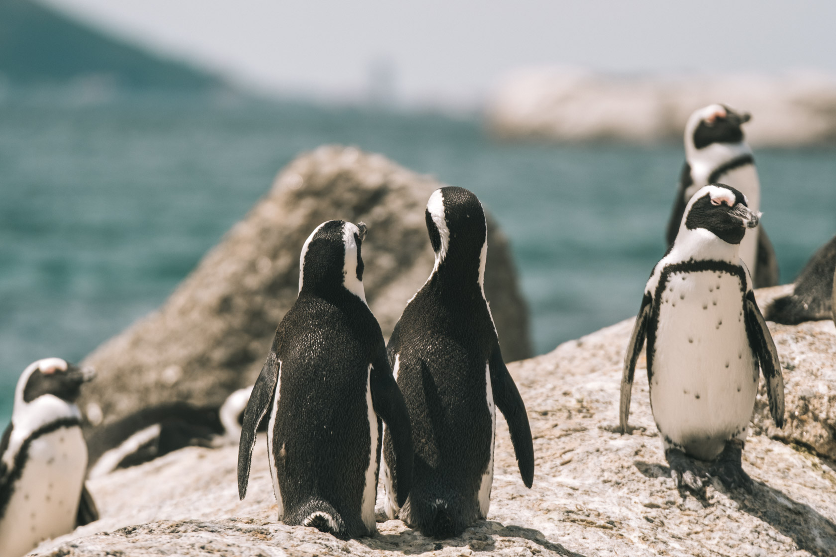 Boulders Beach