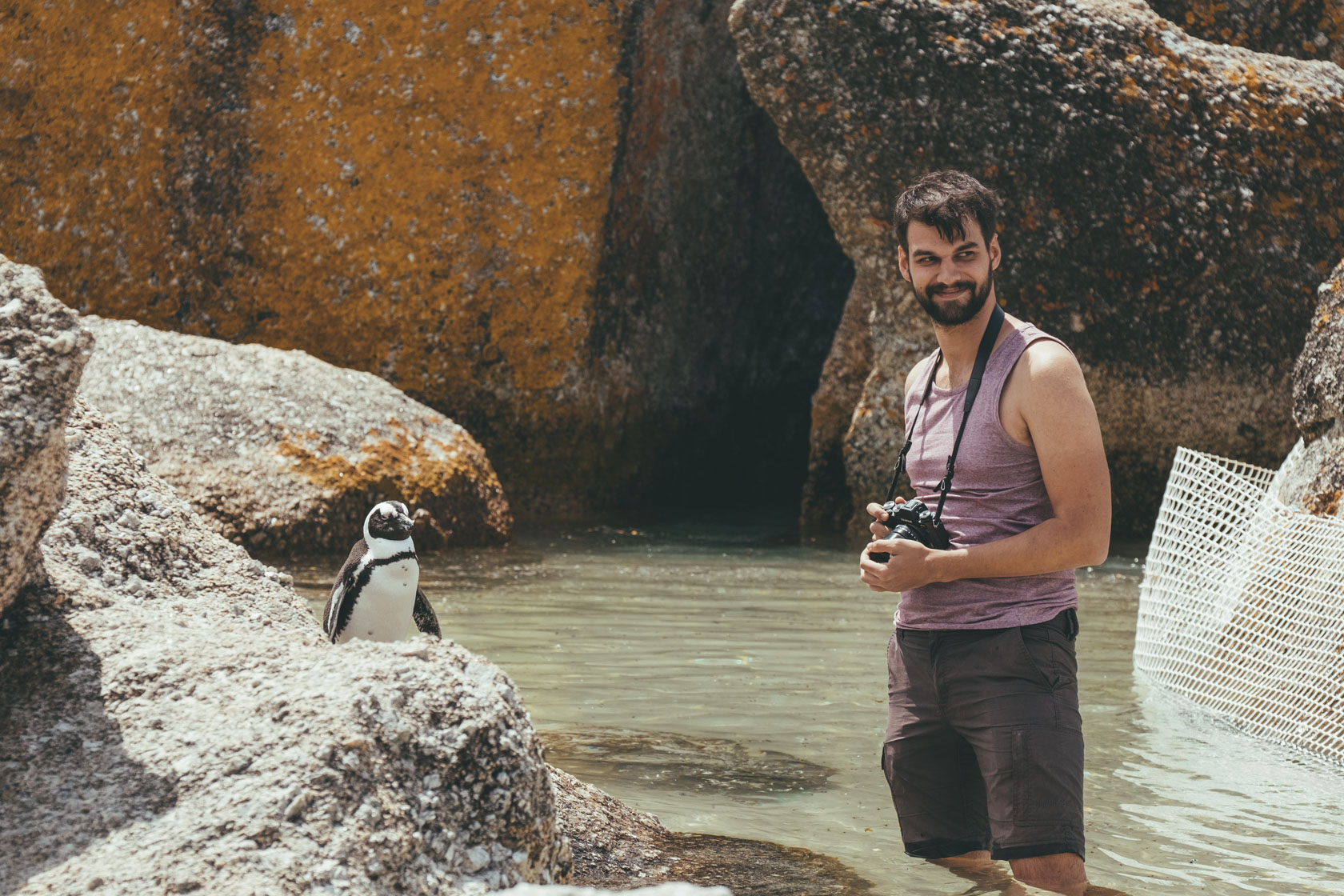 Boulders Beach Colônia de pinguins.