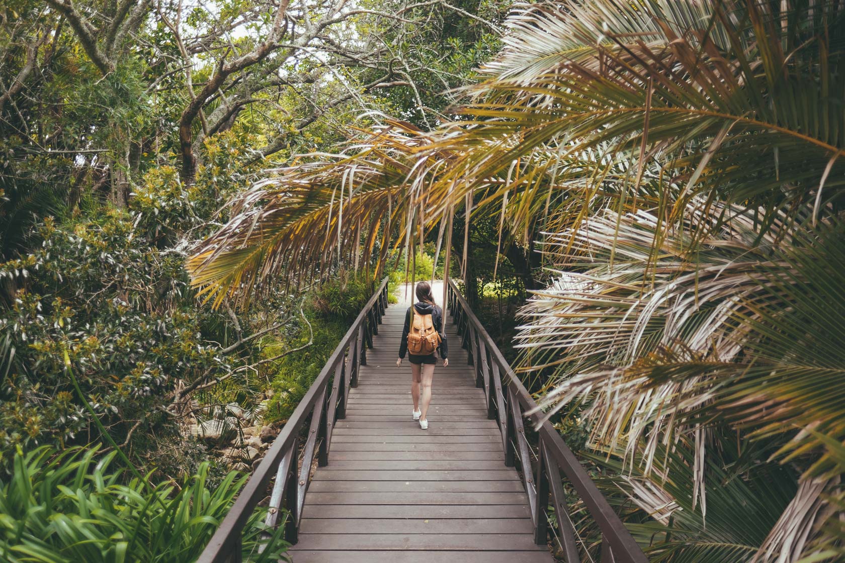 Kirstenbosch botaniska trädgård i Kapstaden