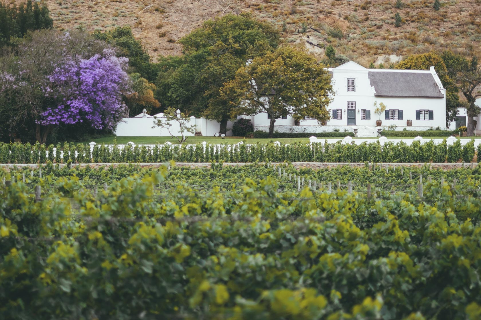  Franschhoek, Cape Winelands 