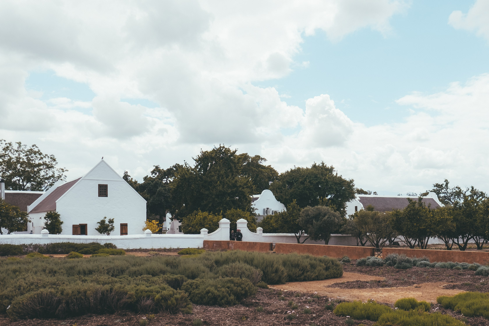 Babylonstoren Wine Farm