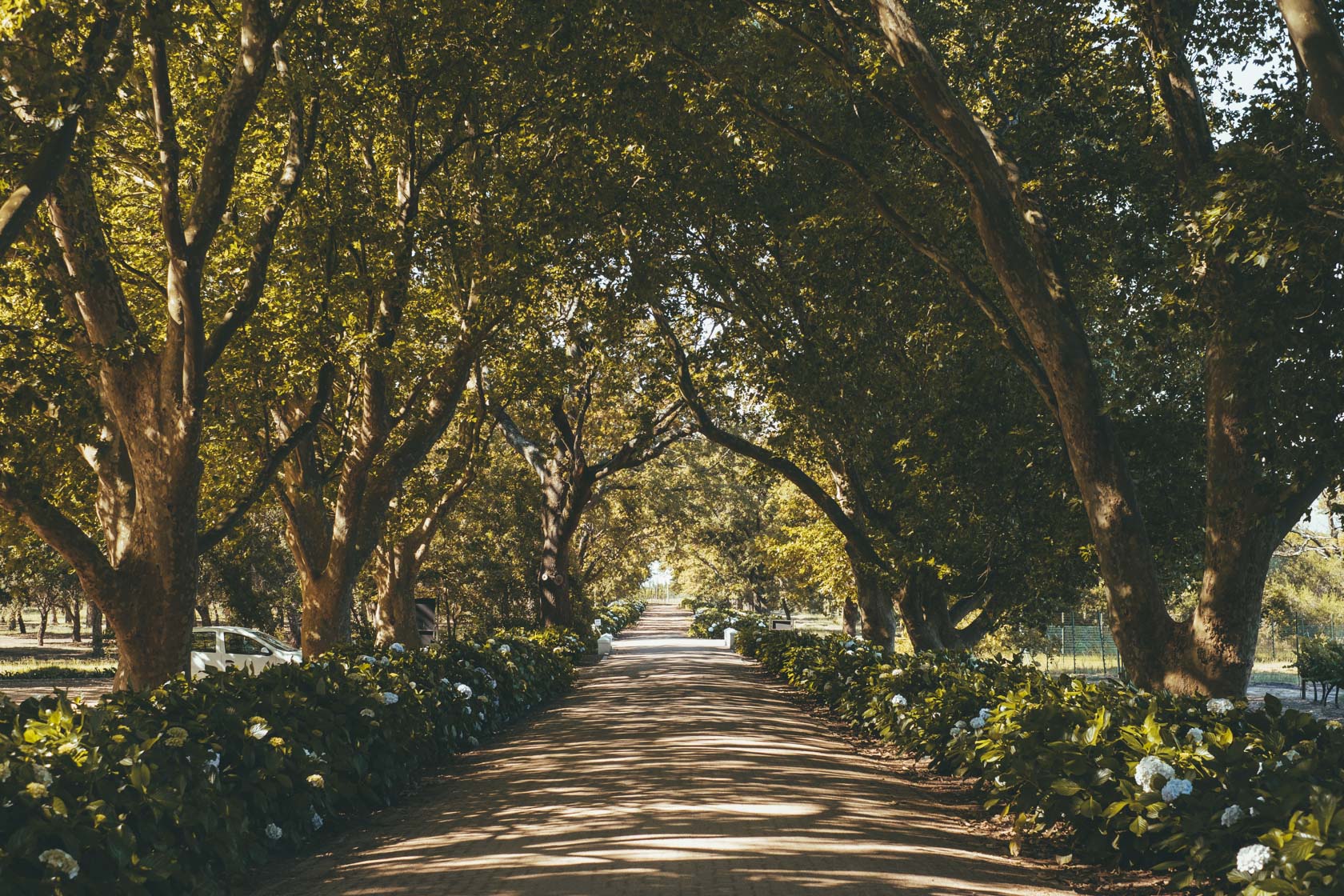 Boschendahl Wine Estate, Franschhoek