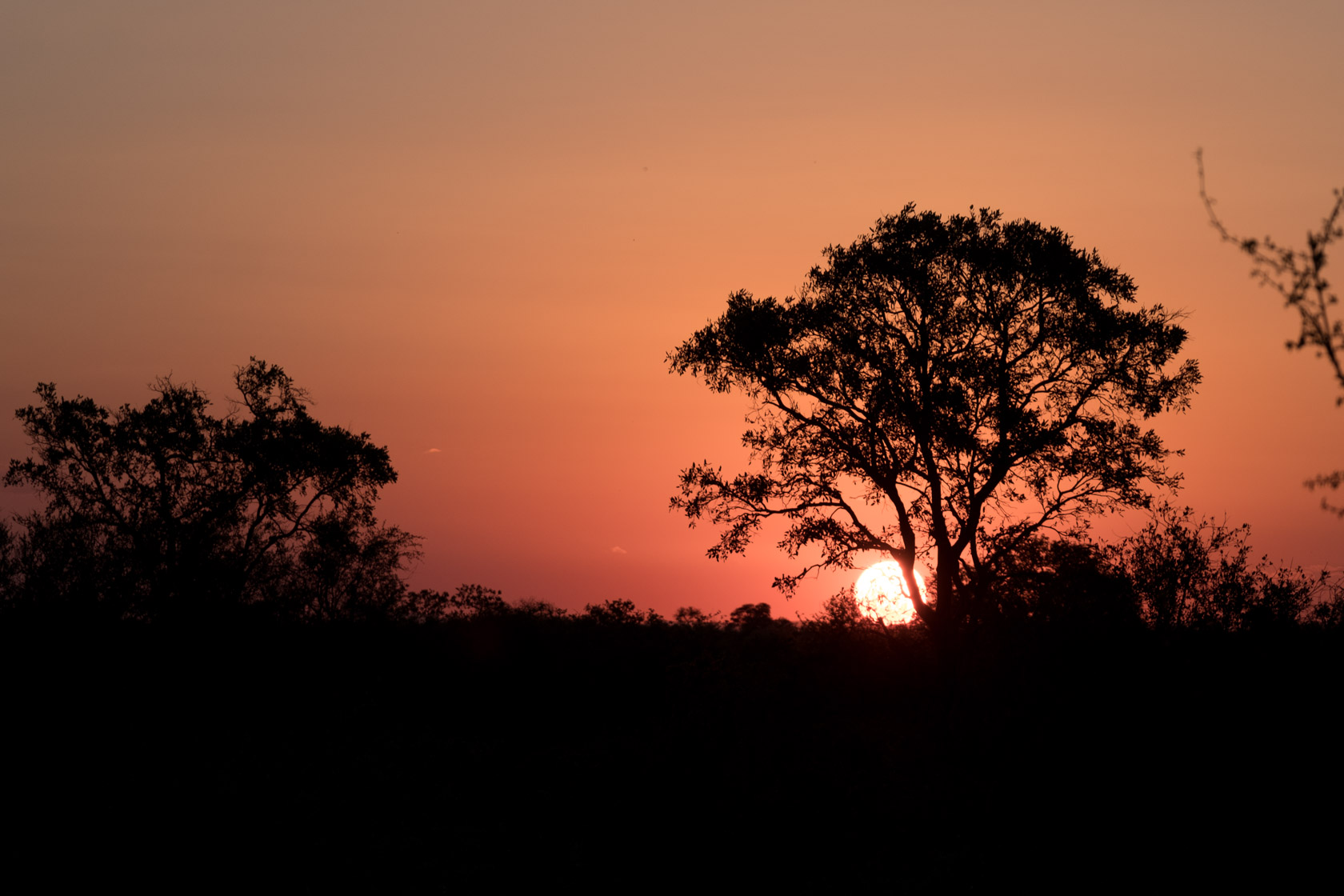 Sunset over Motswari Private Game Reserve