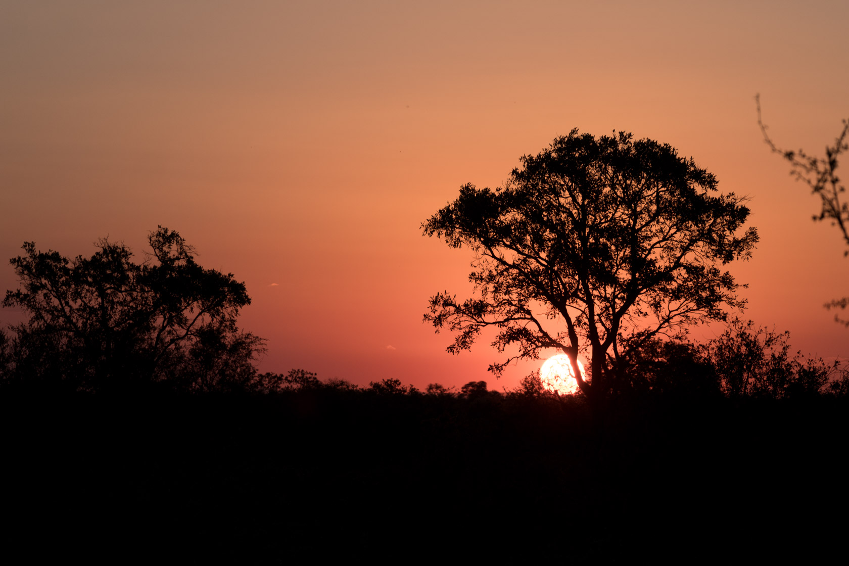 Sunset in Kruger National Park