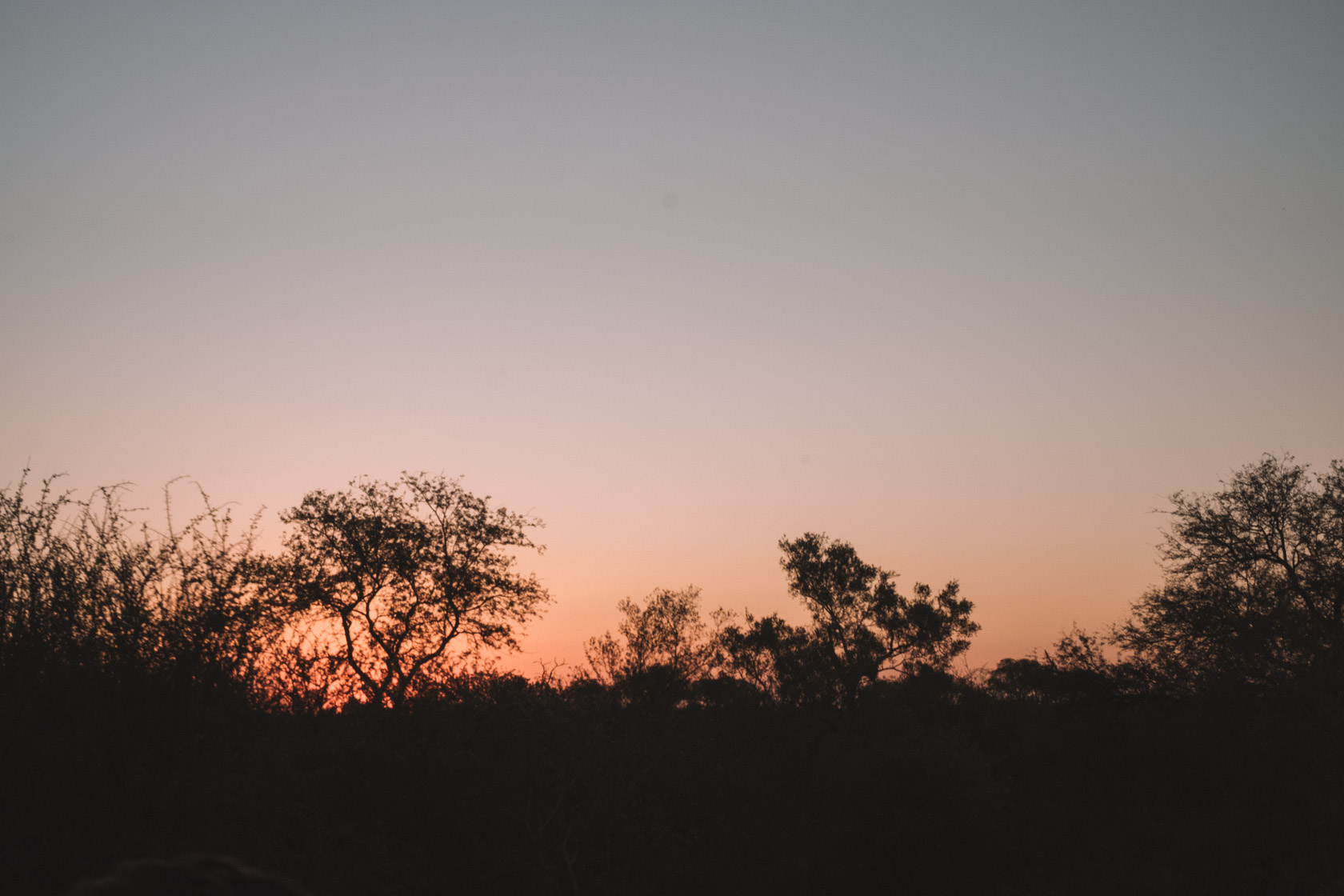 Sunset on Safari