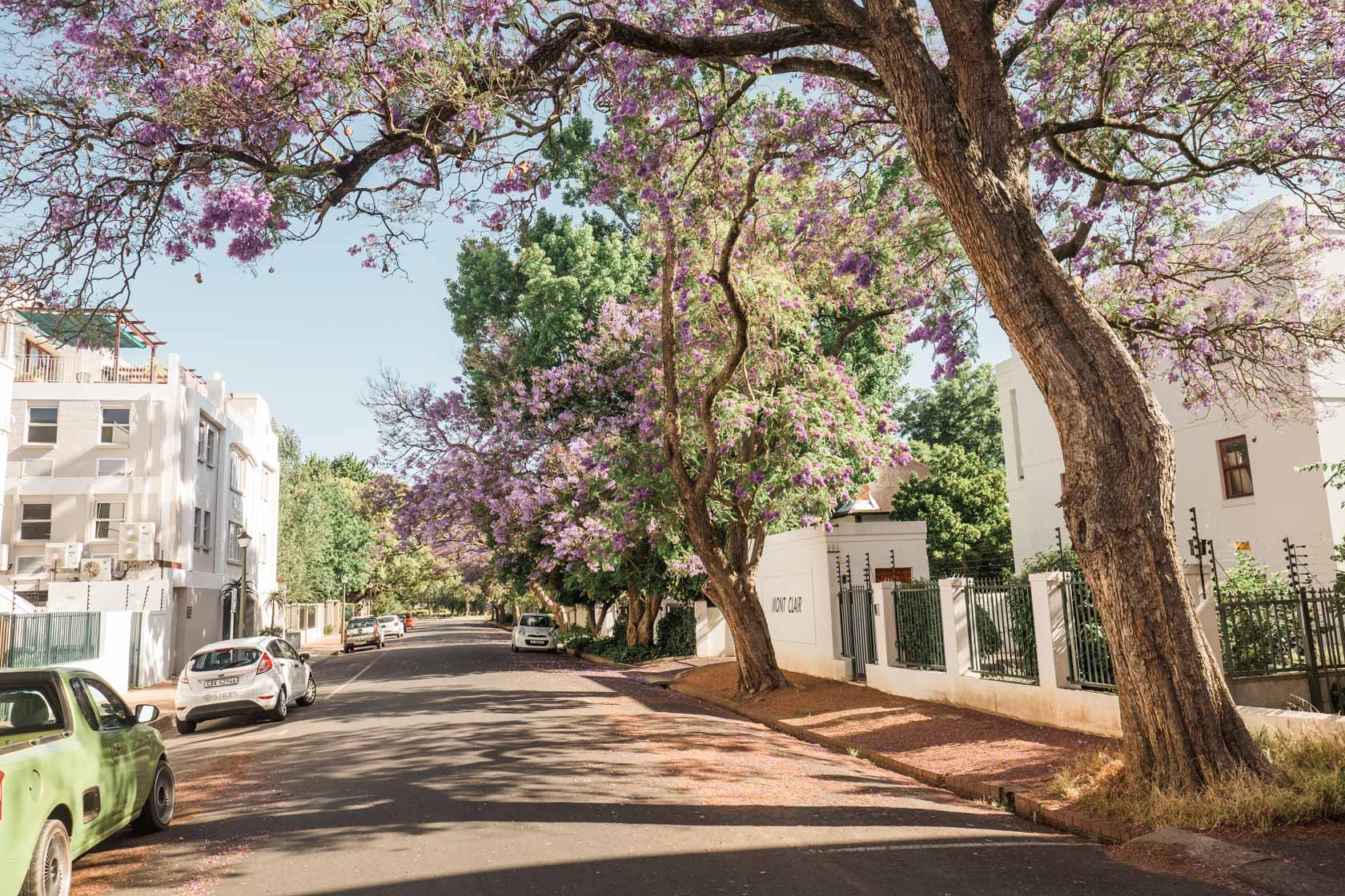 Stellenbosch, Cape Winelands, South Africa