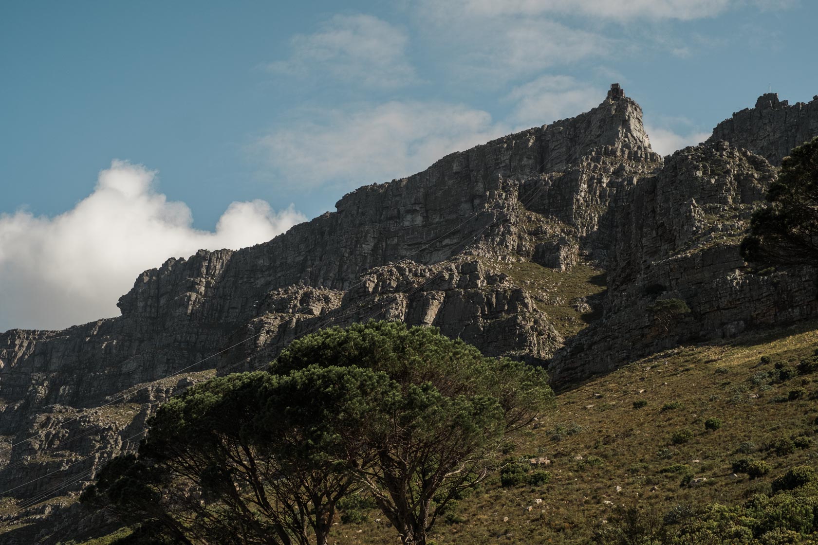 Table Mountain