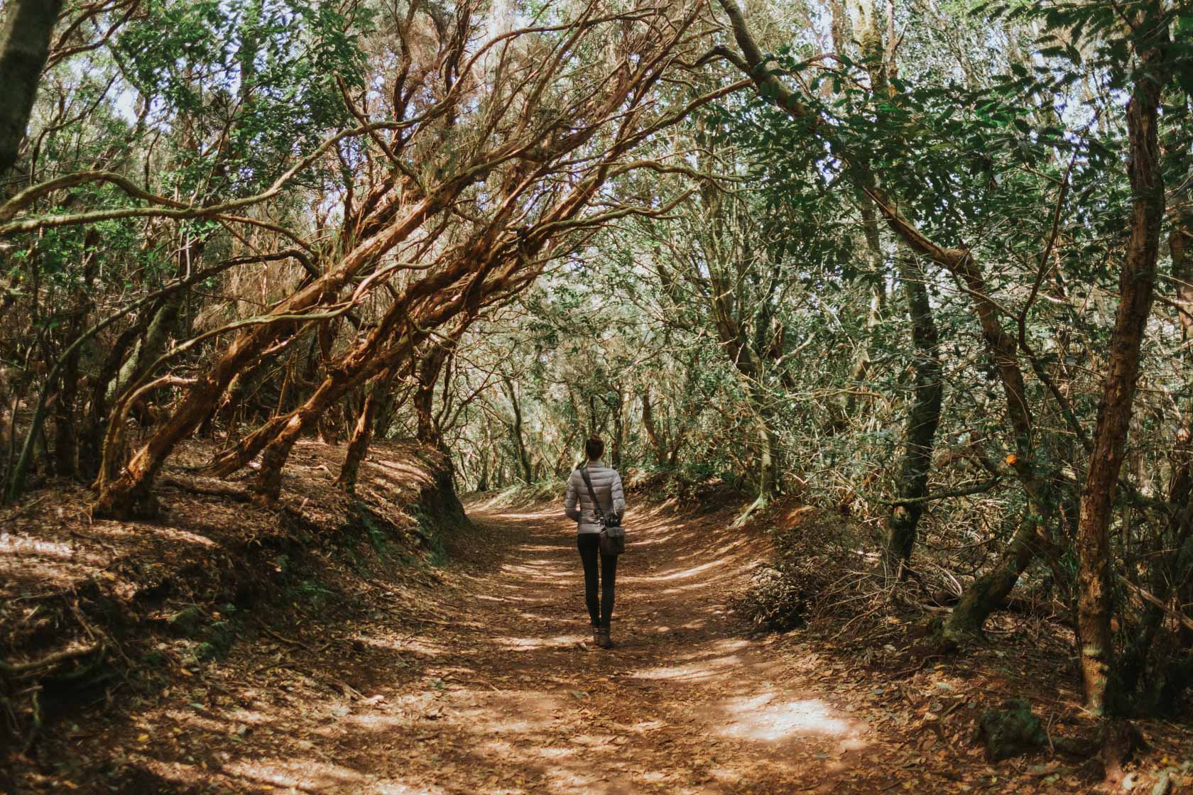 Hiking in Anaga