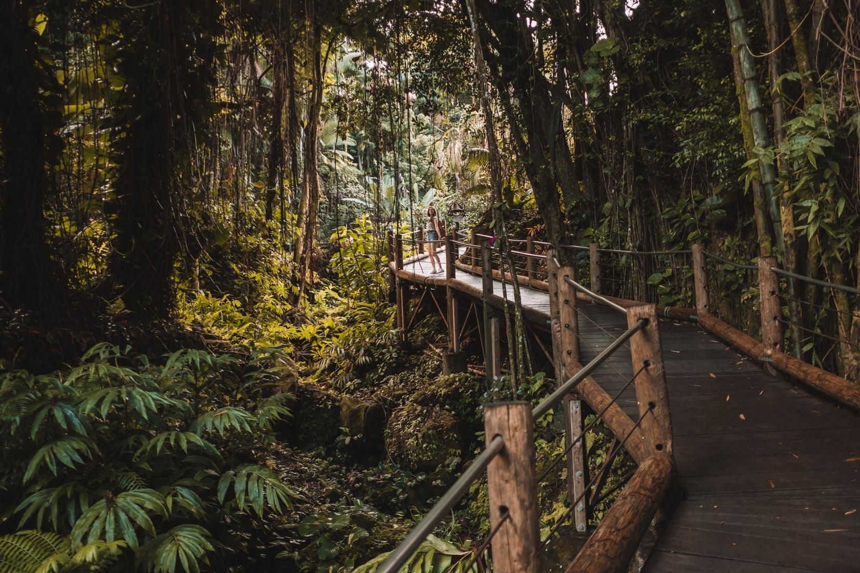 Hawaii Tropical Botanical Gardens, Big Island of Hawaii